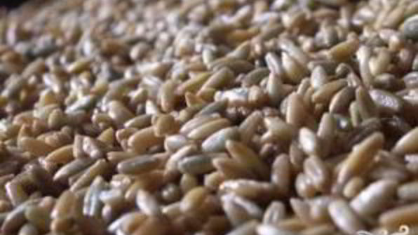 щи московские