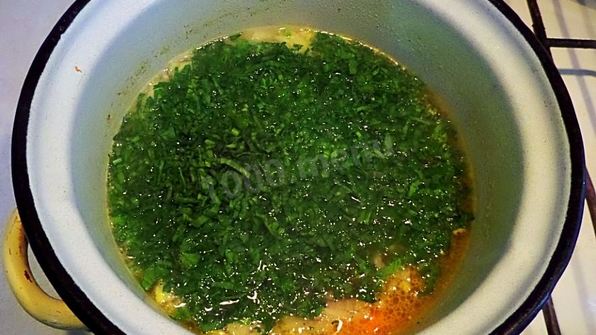 щи с зеленью шпината