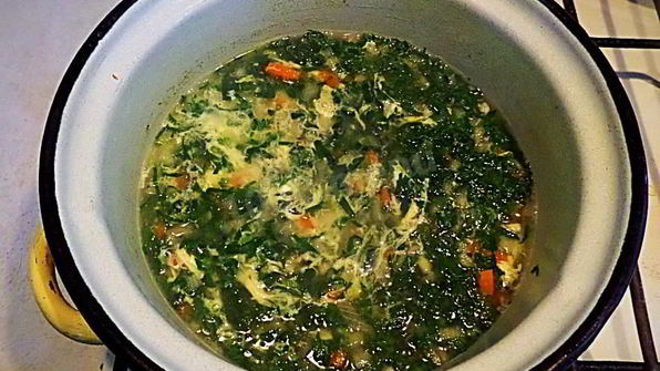 щи с зеленью шпината
