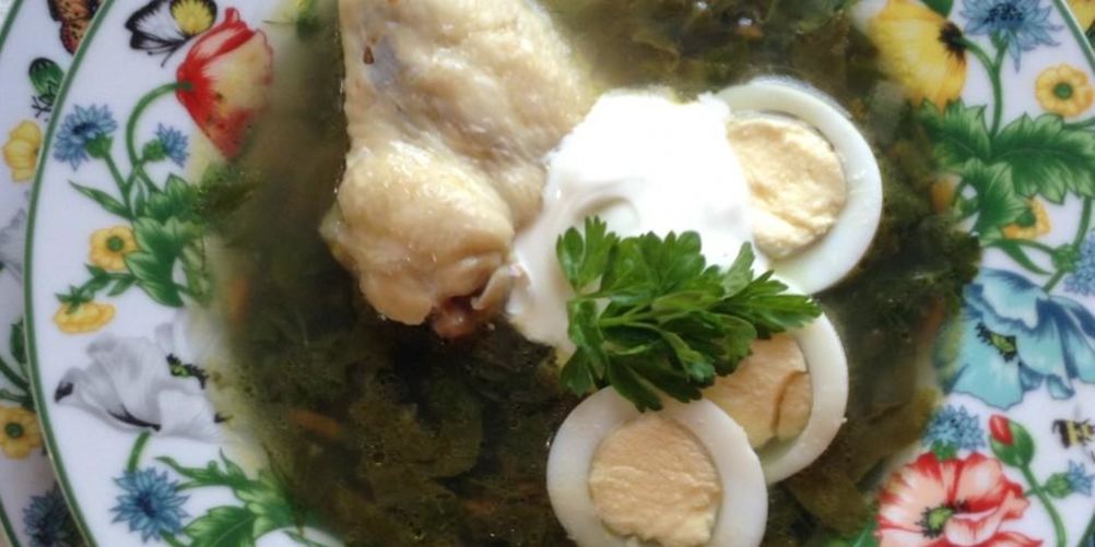 Рецепт щей зеленых с крапивой на курином бульоне