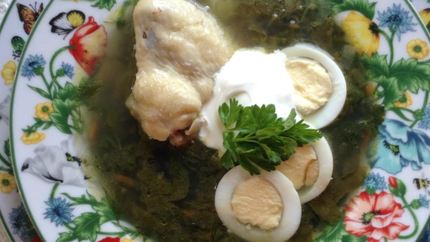 Щи зеленые с крапивой на курином бульоне