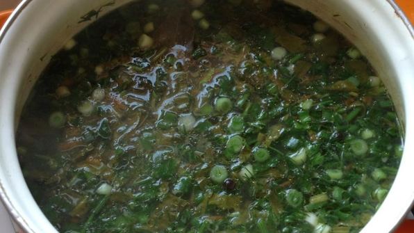 щи зеленые с крапивой на курином бульоне