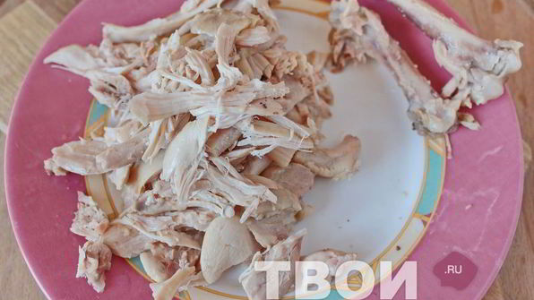 классическая солянка