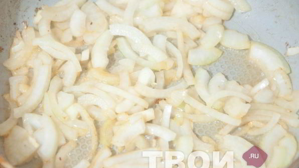 солянка грузинская