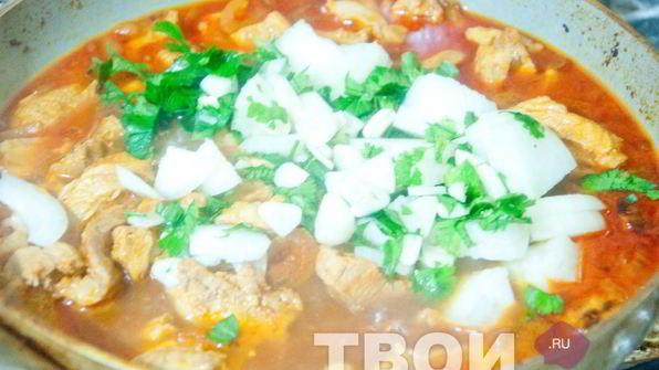 солянка грузинская