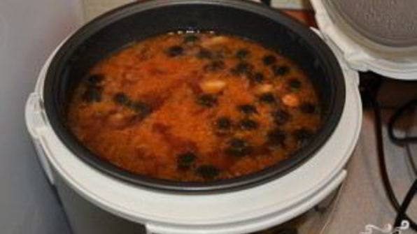 солянка в мультиварке панасоник