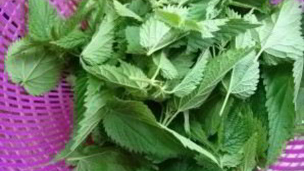 суп из крапивы с яйцом