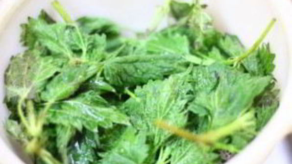 суп из щавеля и крапивы