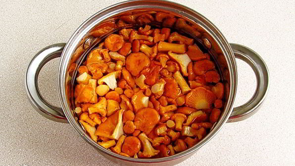 суп из свежих лисичек