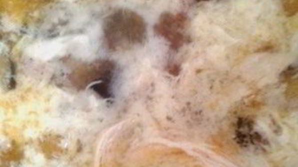 суп куриный с баклажанами и яйцом