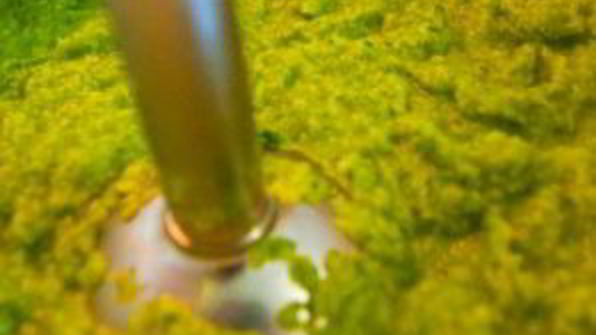 суп-пюре из брокколи и шпината