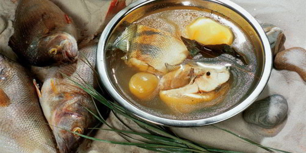 Рецепт рыбацкой ухи из судачков