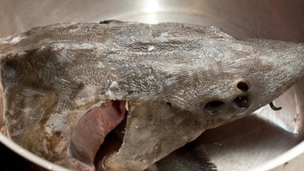 рыбный суп уха из осетра