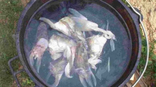 уха двойная по-рязански