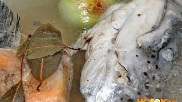 уха из головы семги