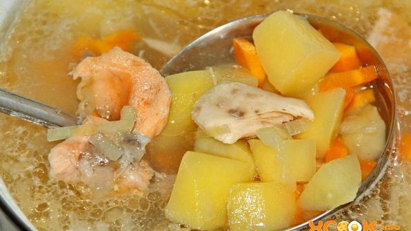 уха из головы семги