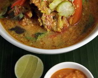 Уха из морского ангела