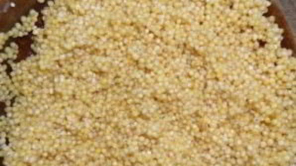 уха из рыбных консервов