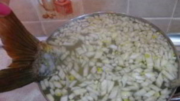 уха из сельди