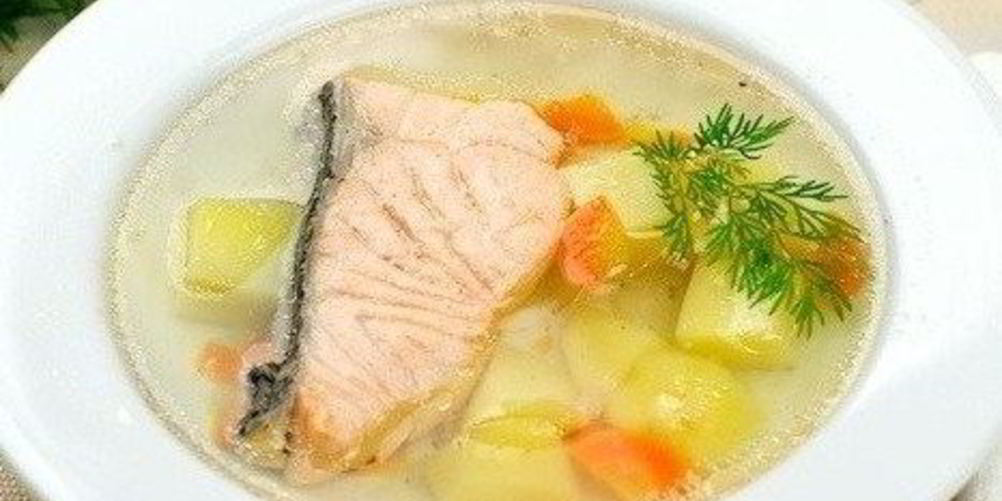 Рецепт ухи из семги
