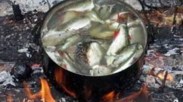 уха на костре