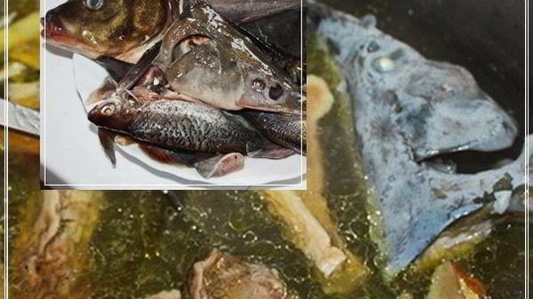 уха по-царски из петуха