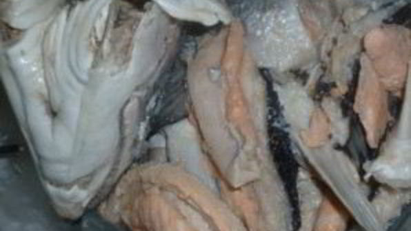 уха с пшеном и картошкой