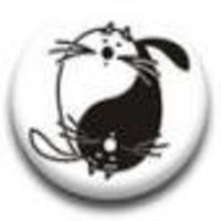 Галя Омрокова