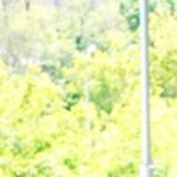 Рябовол Аня