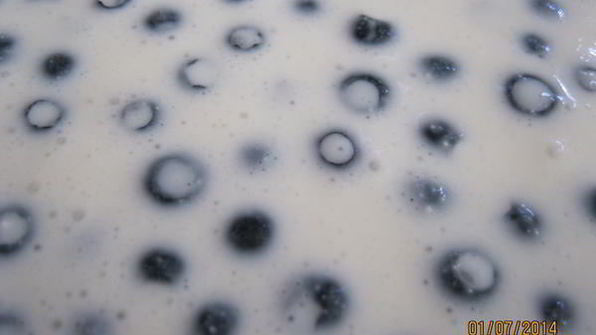 чизкейк с черникой без выпечки