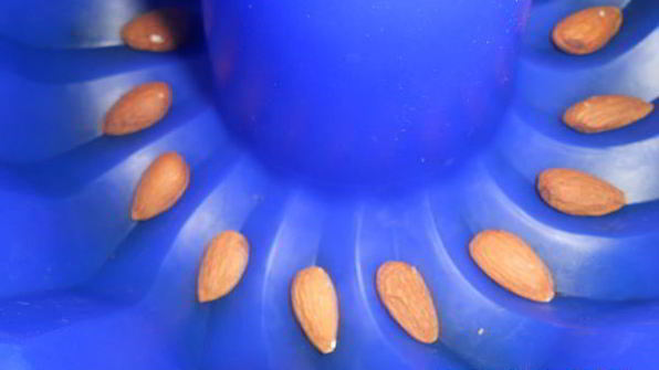 кекс пасхальный