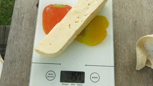 хачапури гриль