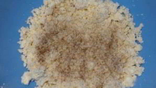 хачапури из дрожжевого теста