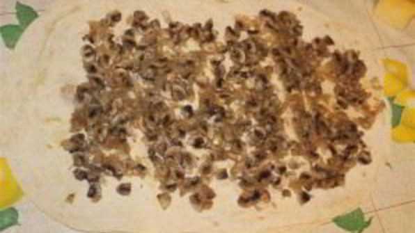 лаваш с грибами
