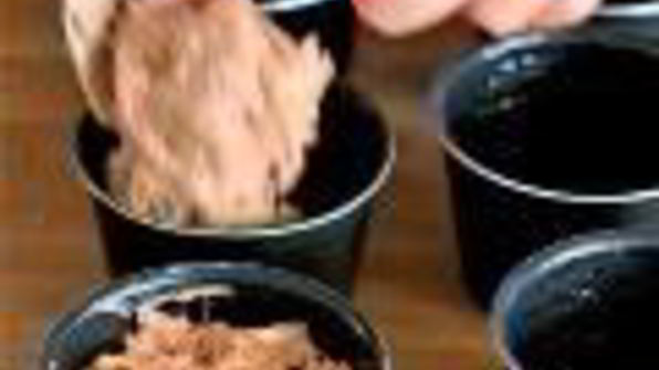 маффины из цукини с шоколадом