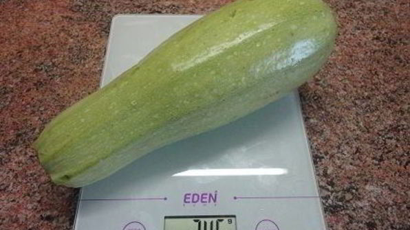 кабачковые оладьи с грибной икрой