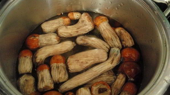 открытые слойки с подосиновиками