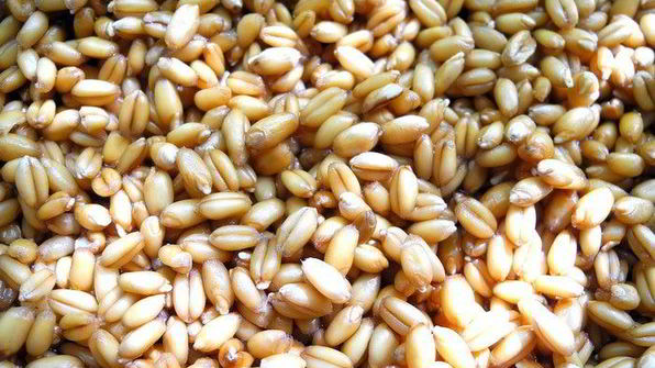 печенье прованс