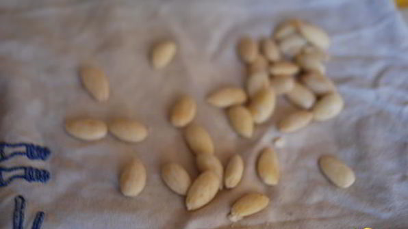 миндальный пирог с нектаринами