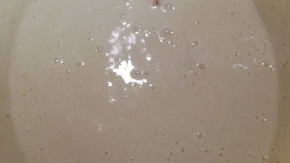 классическая шарлотка с яблоками и нектаринами