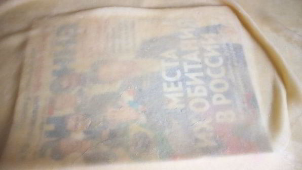 вишневый штрудель