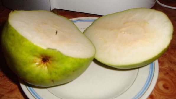 слойки по-киевски с творогом