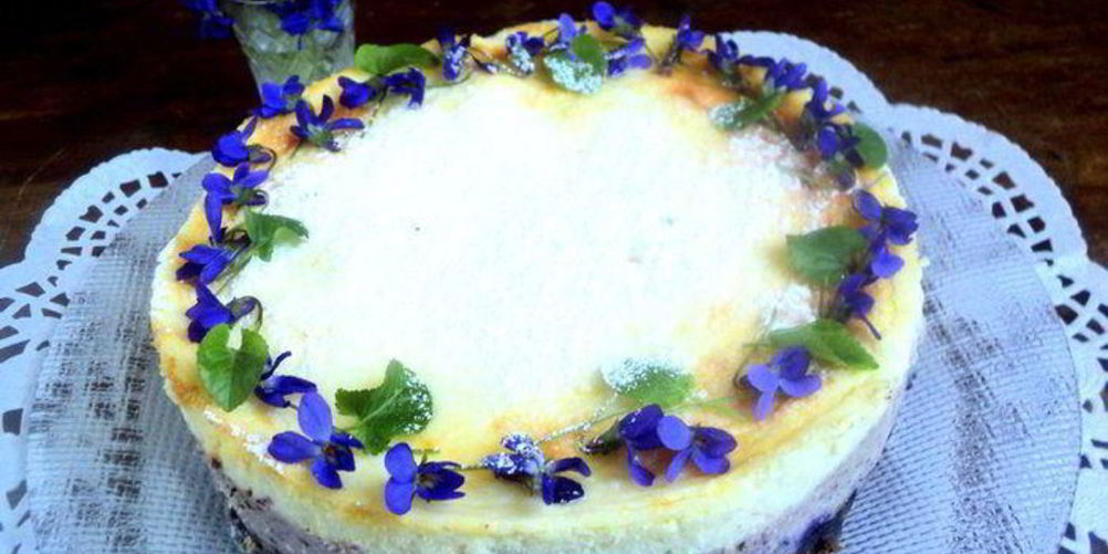 Рецепт сырника с черникой фиалки