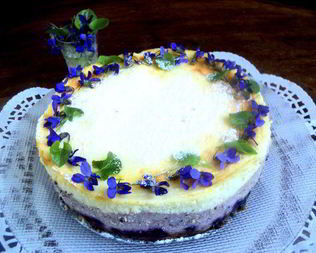 Сырник с черникой Фиалки