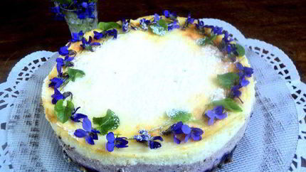 Сырник с черникой Фиалки