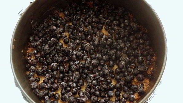 сырник с черникой фиалки