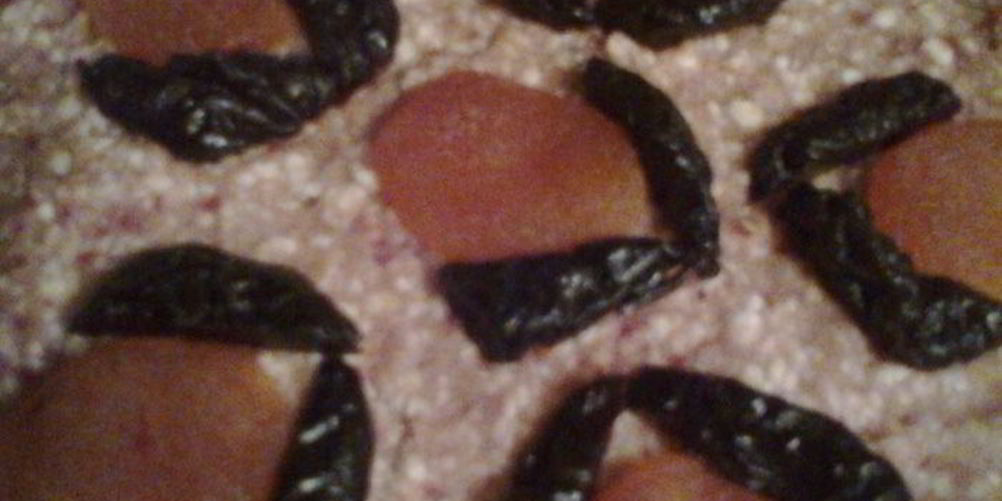 Рецепт творожника в микроволновке