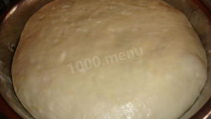 Хрущевское тесто сдобное дрожжевое