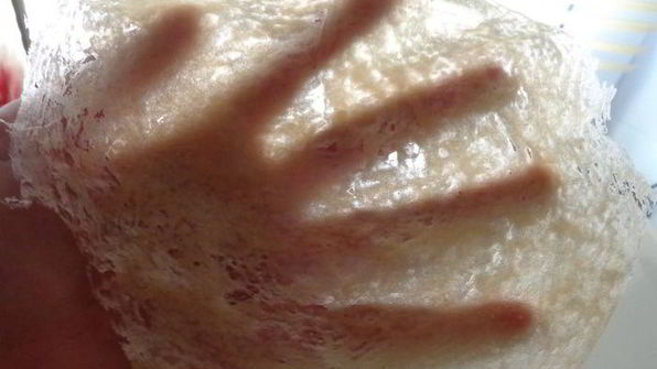 тесто брик и изделия из него