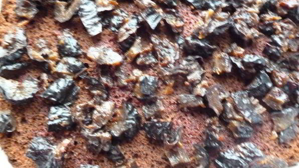 торт чернослив в шоколаде